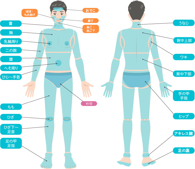 全身脱毛セレクト