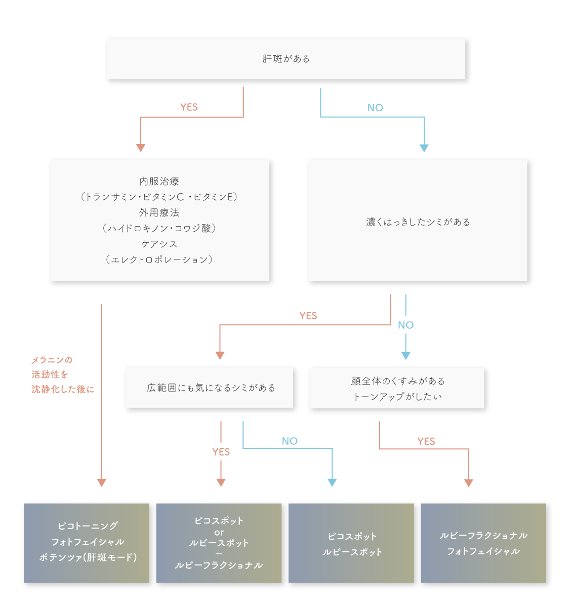 シミ取りチャート